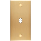 MODELEC - Façade Étroite Confidence Laiton Brossé 1 Basculeur à Vis