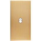 MODELEC - Façade Étroite Confidence Laiton Brossé 1 Basculeur