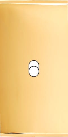 MODELEC - Façade Étroite Confidence Laiton Or Miroir 1 Basculeur