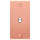 MODELEC - Façade Étroite Confidence Laiton Cuivre Satiné 1 Basculeur à Vis