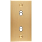 MODELEC - Façade Étroite Confidence Laiton Brossé 2 Basculeurs à Vis