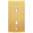 MODELEC - Façade Étroite Confidence Laiton Satiné 2 Basculeurs à Vis