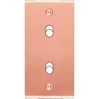 MODELEC - Façade Étroite Confidence Laiton Cuivre Satiné 2 Basculeurs à Vis