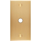 MODELEC - Façade Étroite Confidence Laiton Brossé 1 Bouton Push à Vis