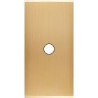 MODELEC - Façade Étroite Confidence Laiton Brossé 1 Bouton Push