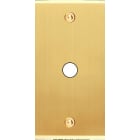 MODELEC - Façade Étroite Confidence Laiton Satiné 1 Bouton Push à Vis