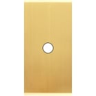 MODELEC - Façade Étroite Confidence Laiton Satiné 1 Bouton Push