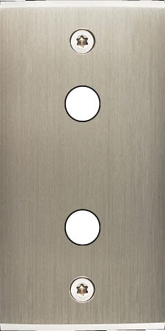 MODELEC - Façade Étroite Confidence Laiton Acier Brossé 2 Boutons Push à Vis