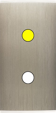 MODELEC - Façade Étroite Confidence Laiton Acier Brossé 1 Bouton Push à Led