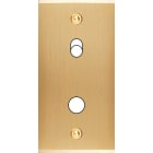 MODELEC - Façade Étroite Confidence Laiton Brossé 1 Basculeur + 1 Bouton Push à Vis