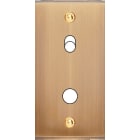 MODELEC - Façade Étroite Confidence Laiton Vieux Bronze 1 Basculeur + 1 Bouton Push à Vis