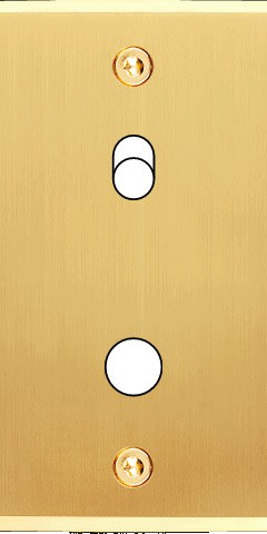 MODELEC - Façade Étroite Confidence Laiton Satiné 1 Basculeur + 1 Bouton Push à Vis