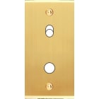 MODELEC - Façade Étroite Confidence Laiton Satiné 1 Basculeur + 1 Bouton Push à Vis