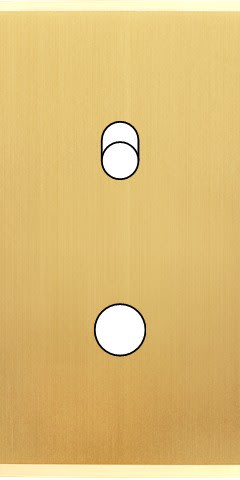 MODELEC - Façade Étroite Confidence Laiton Satiné 1 Basculeur + 1 Bouton Push