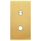 MODELEC - Façade Étroite Confidence Laiton Satiné 1 Basculeur + 1 Bouton Push
