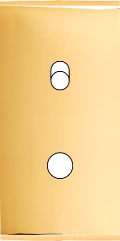 MODELEC - Façade Étroite Confidence Laiton Or Miroir 1 Basculeur + 1 Bouton Push