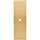 MODELEC - Façade Confidence Laiton Brosse Etroite Longue P1 à Vis