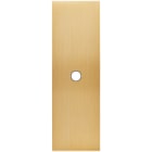 MODELEC - Façade Confidence Laiton Brosse Etroite Longue 1 Push