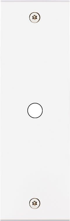 MODELEC - Façade Confidence Laiton Blanc Mat Etroite Longue P1 à Vis