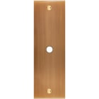 MODELEC - Façade Confidence Laiton Vieux Bronze Etroite Longue P1 à Vis