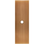 MODELEC - Façade Confidence Laiton Vieux Bronze Etroite Longue 1 Push