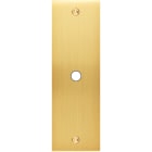 MODELEC - Façade Confidence Laiton Satine Etroite Longue P1 à Vis