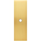 MODELEC - Façade Confidence Laiton Satine Etroite Longue 1 Push