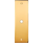 MODELEC - Façade Confidence Laiton Or Miroir Etroite Longue P1 à Vis