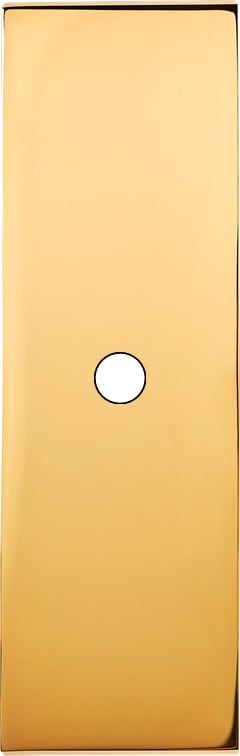 MODELEC - Façade Confidence Laiton Or Miroir Etroite Longue 1 Push