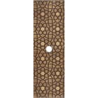 MODELEC - Façade Fascination Laiton Atlas Etroite Longue 1 Push