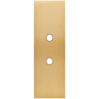 MODELEC - Façade Confidence Laiton Brosse Etroite Longue 2 Push