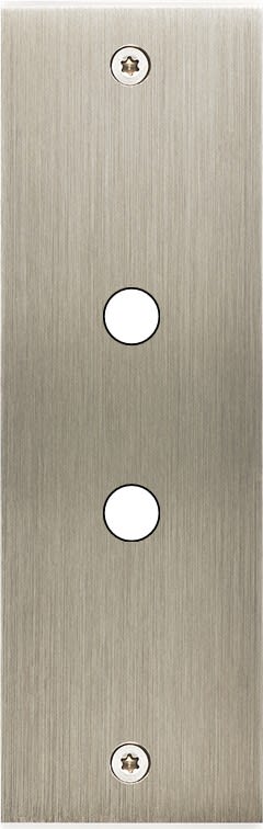 MODELEC - Façade Confidence Laiton Acier Brosse Etroite Longue P2 à Vis