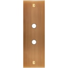 MODELEC - Façade Confidence Laiton Vieux Bronze Etroite Longue P2 à Vis