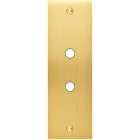 MODELEC - Façade Confidence Laiton Satine Etroite Longue P2 à Vis