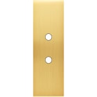 MODELEC - Façade Confidence Laiton Satine Etroite Longue 2 Push