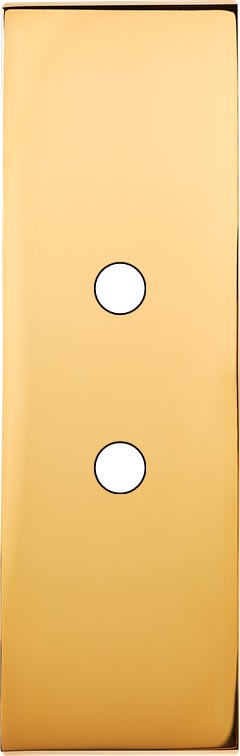 MODELEC - Façade Confidence Laiton Or Miroir Etroite Longue 2 Push