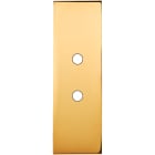 MODELEC - Façade Confidence Laiton Or Miroir Etroite Longue 2 Push