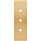 MODELEC - Façade Confidence Laiton Brosse Etroite Longue P3 à Vis