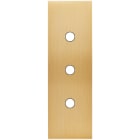 MODELEC - Façade Confidence Laiton Brosse Etroite Longue 3 Push