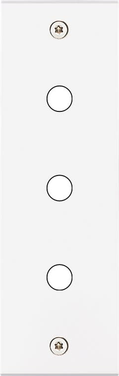 MODELEC - Façade Confidence Laiton Blanc Mat Etroite Longue P3 à Vis