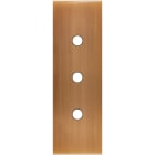 MODELEC - Façade Confidence Laiton Vieux Bronze Etroite Longue 3 Push