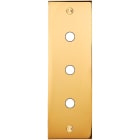 MODELEC - Façade Confidence Laiton Or Miroir Etroite Longue P3 à Vis