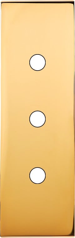 MODELEC - Façade Confidence Laiton Or Miroir Etroite Longue 3 Push