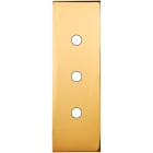 MODELEC - Façade Confidence Laiton Or Miroir Etroite Longue 3 Push