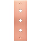 MODELEC - Façade Confidence Laiton Cuivre Satine Etroite Longue P3 à Vis