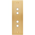 MODELEC - Façade Confidence Laiton Brosse Etroite Longue P4 à Vis