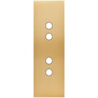 MODELEC - Façade Confidence Laiton Brosse Etroite Longue 4 Push