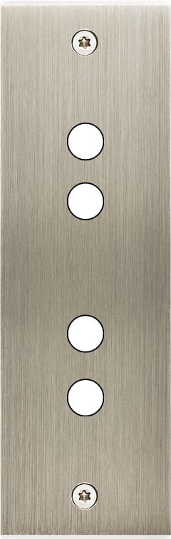 MODELEC - Façade Confidence Laiton Acier Brosse Etroite Longue P4 à Vis