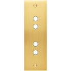 MODELEC - Façade Confidence Laiton Satine Etroite Longue P4 à Vis