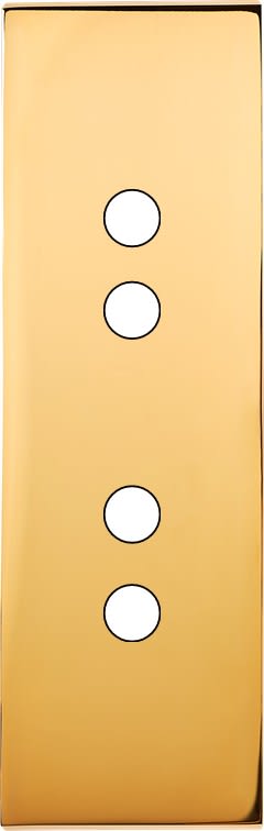 MODELEC - Façade Confidence Laiton Or Miroir Etroite Longue 4 Push